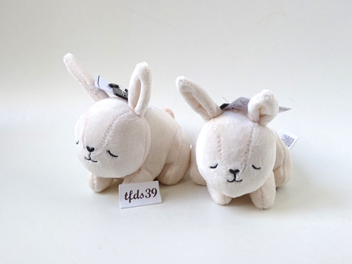 Home hase kaninchen - home,