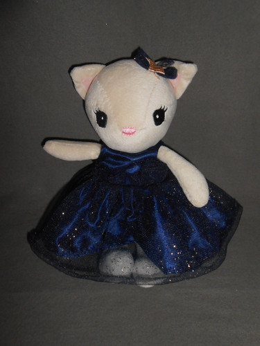 Katze mit dunkelblauen - h,
