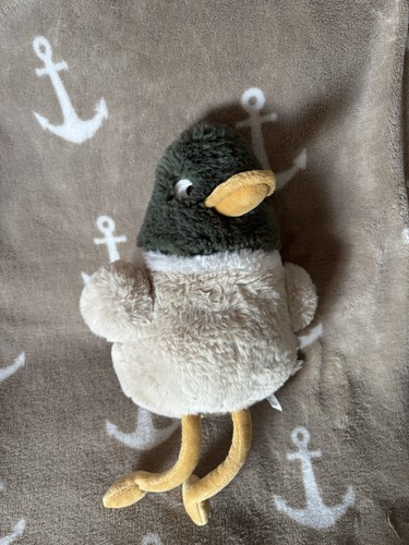 Home ente gans - ente, ca